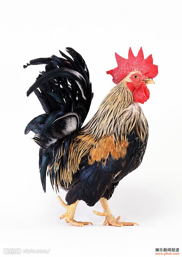 ��ۼ���������